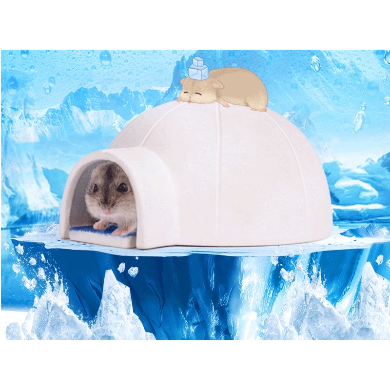 nhà tuyết mát lạnh cho hamster/đuôi mập/rat/dumbo