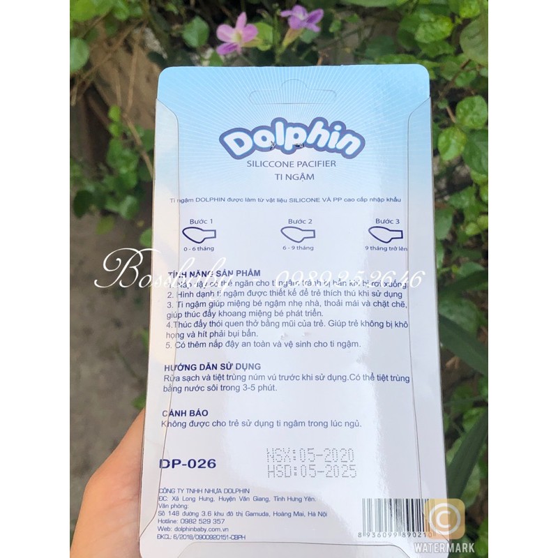 Ty ngậm Dolphin