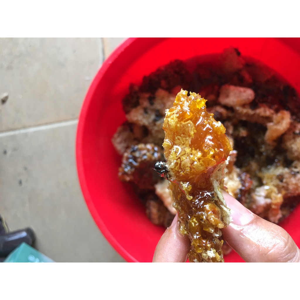 Mật Ong Rừng Tây Bắc 1 lít