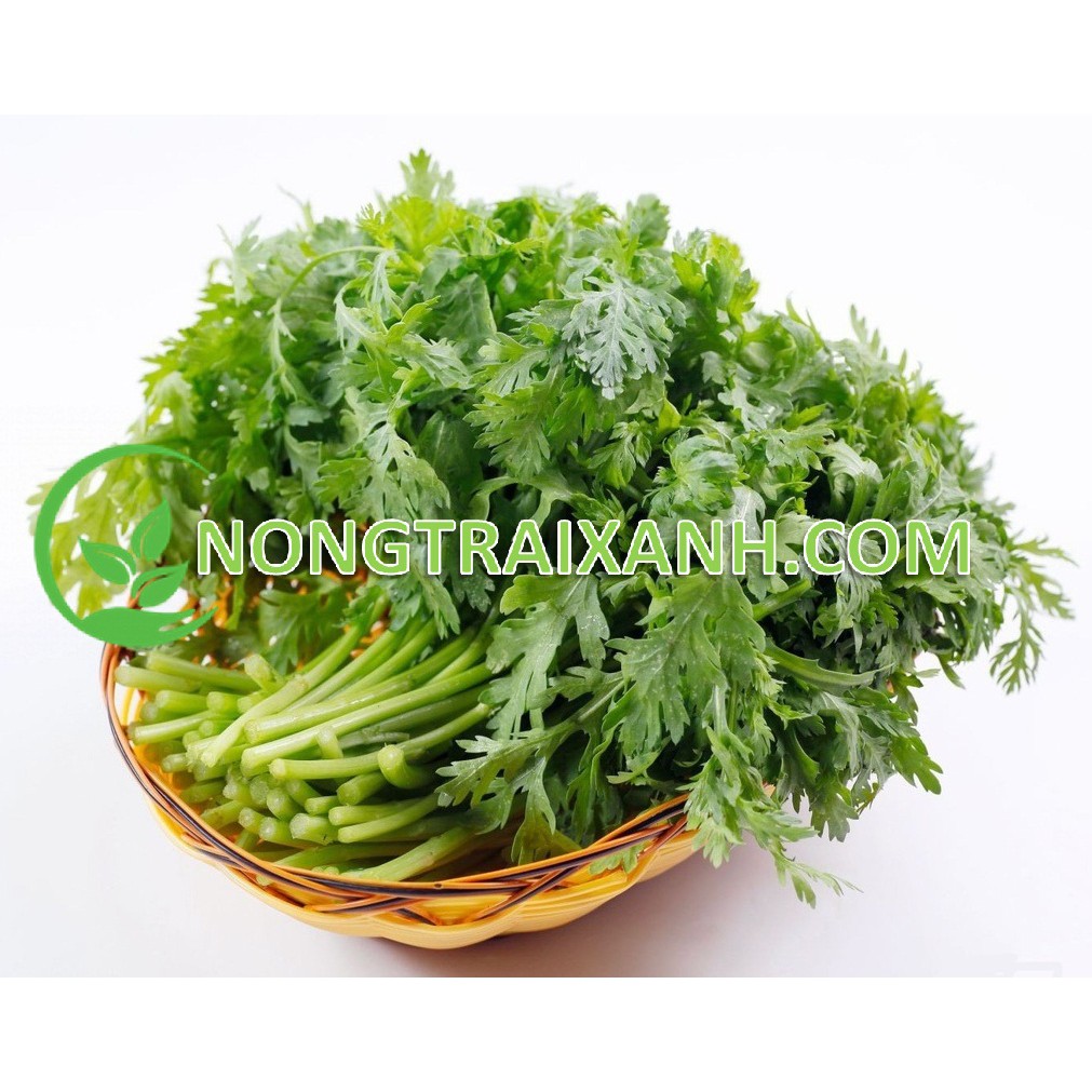 20GR - HẠT GIỐNG RAU TẦN Ô/ CẢI CÚC