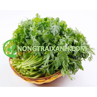 20gr - hạt giống rau tần ô/ cải cúc
