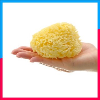 Bông tắm bọt biển Bellini SA8 cho bé sơ sinh đến 1 tuổi