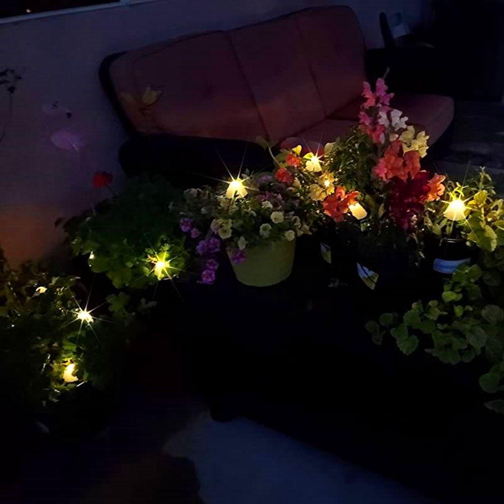 LLOYD Dây Đèn Led Trang Trí Lối Đi