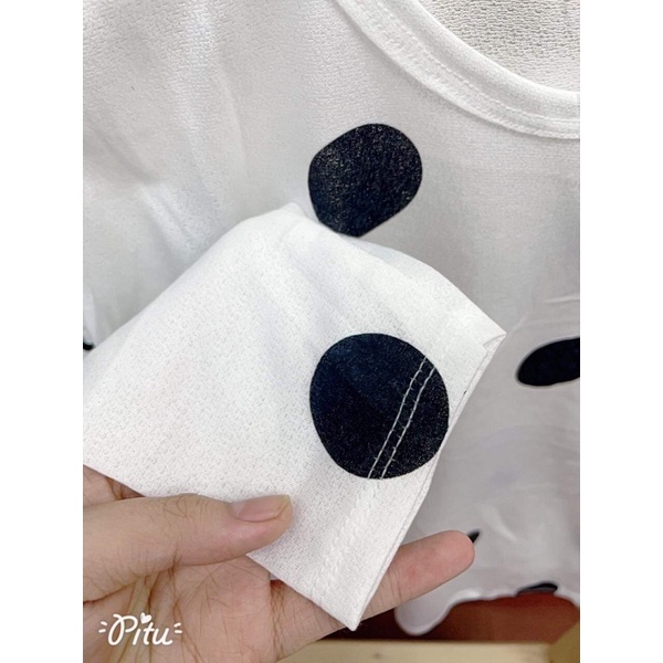 Áo thun chấm bi HSU1