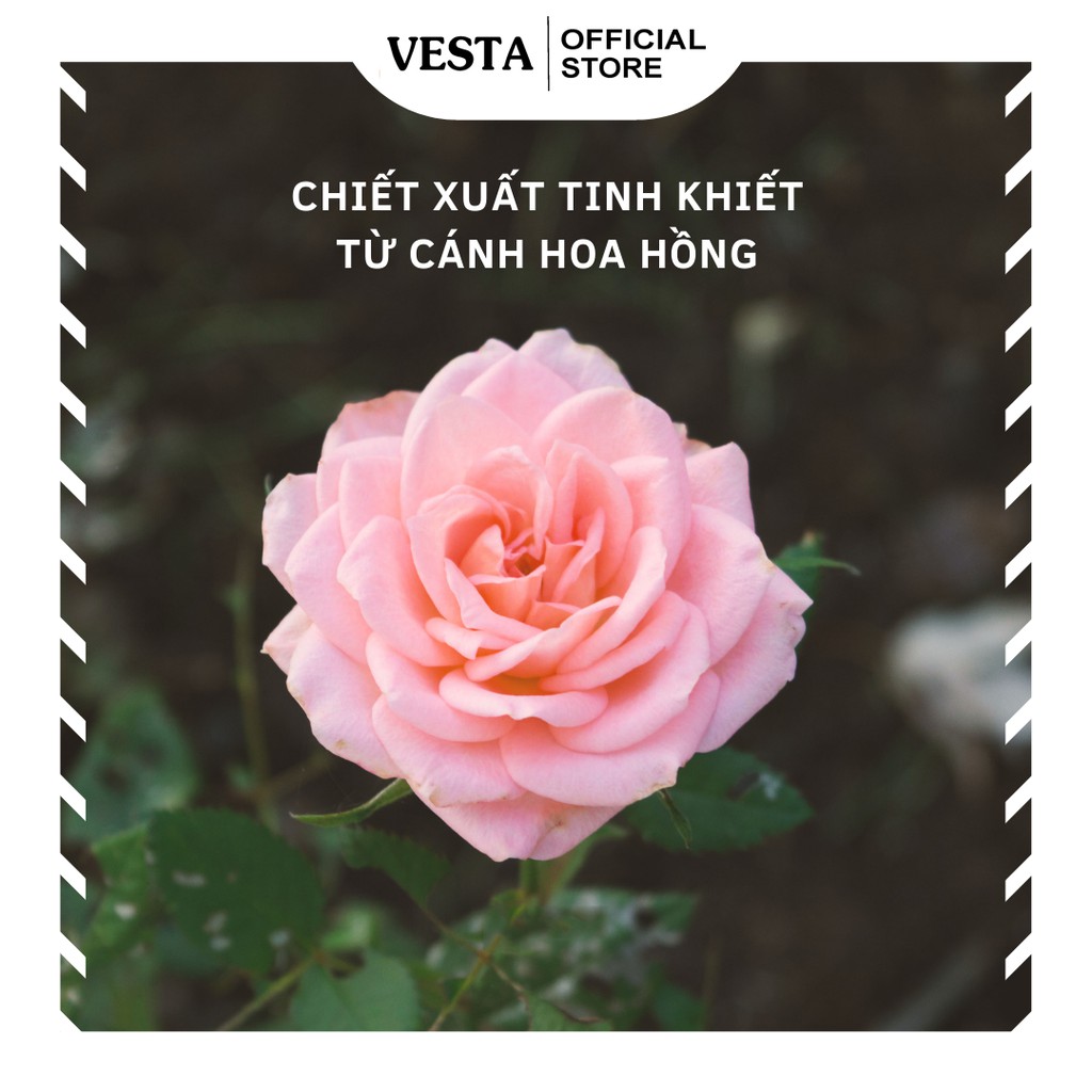 Nước Hoa Hồng Rose Water Toner Kiss Beauty Cấp Ẩm Cân Bằng Da 150ml | BigBuy360 - bigbuy360.vn