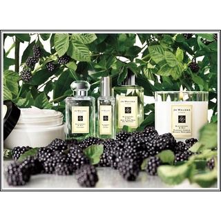 Nước Hoa Jo Malone Blackberry & Bay Cologne