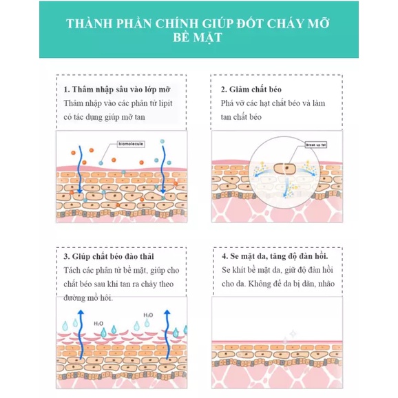 Kem Tan Mỡ MSLAM CHÍNH HÃNG Giảm Mỡ Thừa Hiệu Quả Tăng Độ Đàn Hồi Không Bị Rạn Da