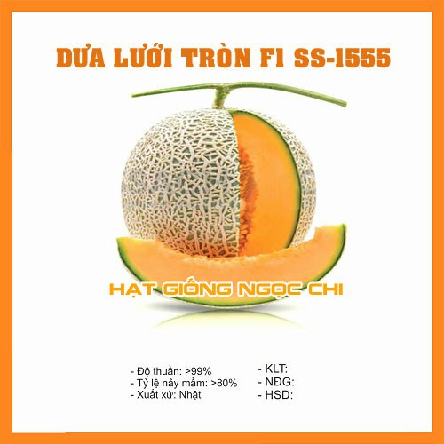 Hạt Giống Dưa Lưới Tròn - 10 Hạt