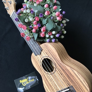 Đàn Ukulele Soprano Gỗ Sọc cao cấp - CB2