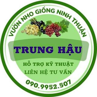 VƯỜN NHO GIỐNG TRUNG HẬU
