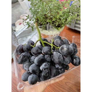 [ GIAO HỎA TỐC HCM ] [ JENNY FRUIT ] - NHO các loại