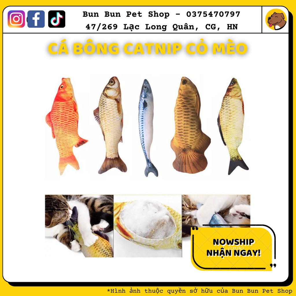 Đồ chơi cá bông cỏ mèo catnip cho mèo