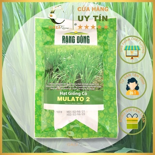 Hạt Giống Cỏ Chăn Nuôi MULATO 2 thức ăn cho trâu, bò, dê, thỏ... gói 100gr