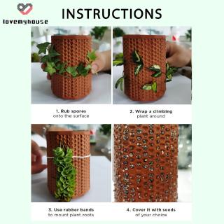 Chậu Gốm Trồng Cây Có Lỗ Thoát Nước