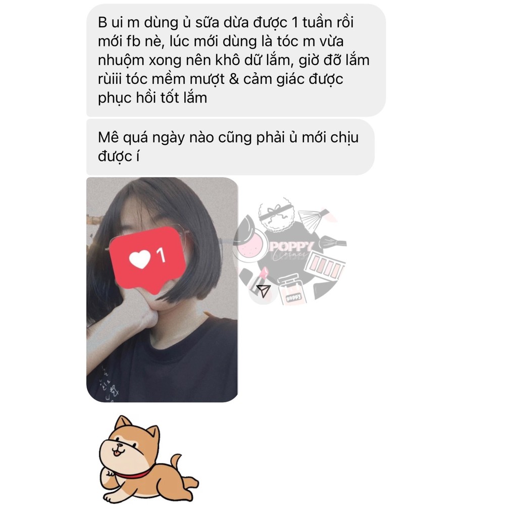 Ủ Tóc Sữa Dừa 💆🏻‍♀️ Dầu Xả Thảo Dược Thiên Nhiên , Giảm Khô, Xơ, Rối, Giúp Tóc Bóng Mượt, 500gr- Poppy Corner