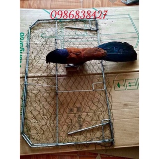 Combo 2 món bẫy bìm bịp gồm 1 bìm bịp giả nhồi keo.1 Mẹt bẫy hình vuông. khung thép trắng chống rỉ.đan lưới dù thái.