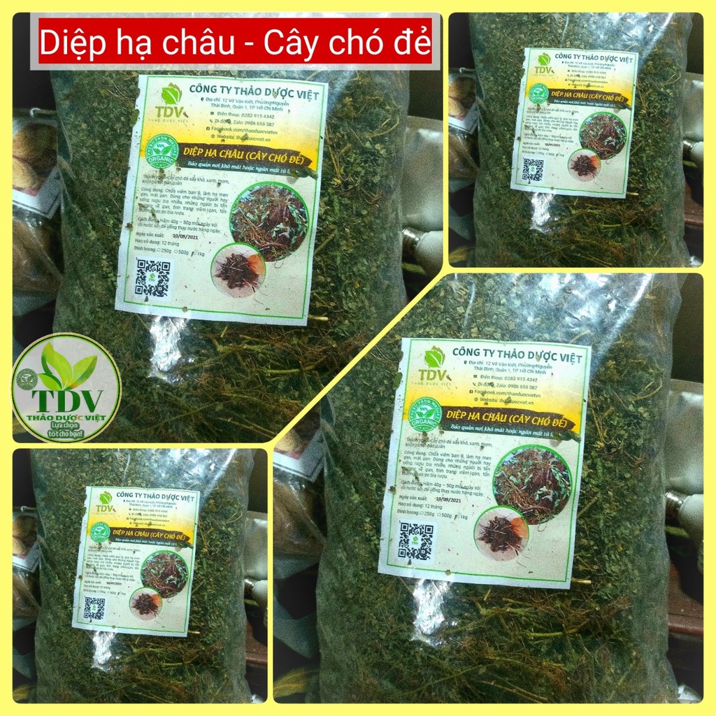 Diệp hạ châu sấy khô nguyên chất -Thảo Dược Việt 1kg