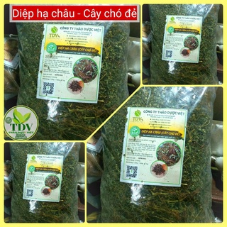 1kg DIỆP HẠ CHÂU CÂY CHÓ ĐẺ