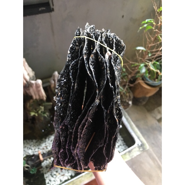 Bánh đa đô lượng 10 chiếc loại 1 siêu ngon