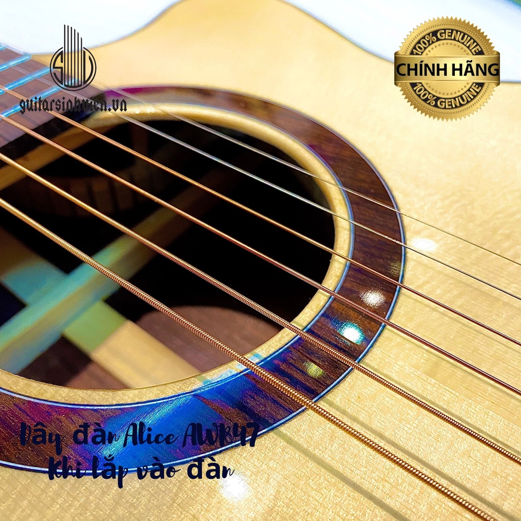 Dây Đàn Guitar Acoustic Chính Hãng Alice A406 - AW432 - AW436 - AWR47 - Da'addario EJ13 - D'addario EJ26
