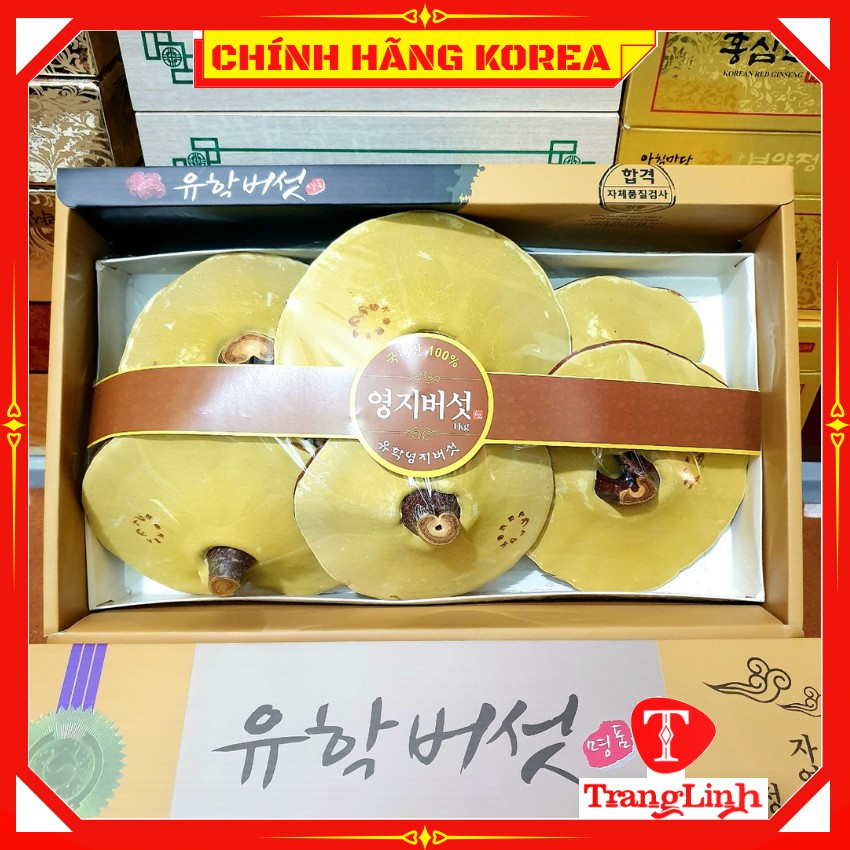 Nấm linh chi hàn quốc hộp quà thượng hạng - Nấm vàng chanh 1kg - tranglinhkorea