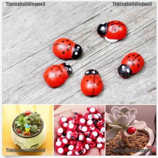 Mô Hình Bọ Cánh Cứng Trang Trí