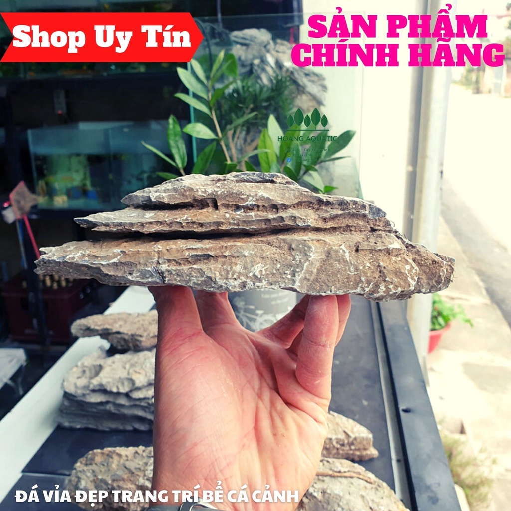 Đá Vỉa Loại Đẹp | Trang trí Bể Cá Thủy Sinh, Phong Cách Biotope, Iwagumi