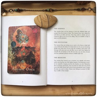 Bài Mystical Shaman Oracle
