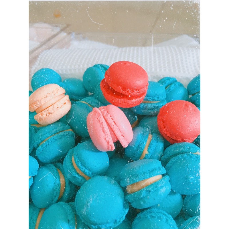 Bánh macaron ( Set 10v mini size )