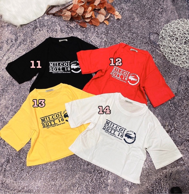 Áo thun giấy croptop form rộng in chữ tay ngắn cổ tròn (TỔNG HỢP MẪU)