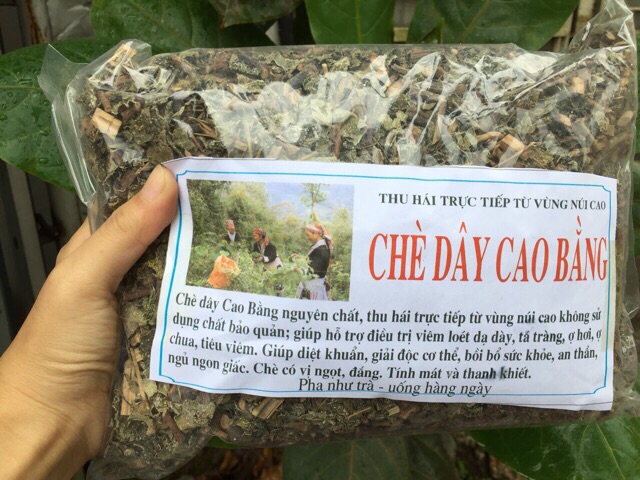 Combo 5kg Chè dây Cao Bằng hỗ trợ viêm loét dạ dày, tá tràng, HP