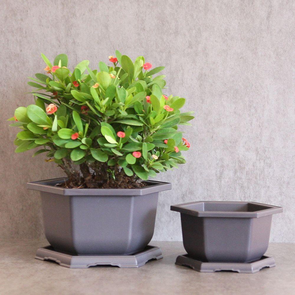 LONTIME Chậu Nhựa Trồng Cây Hình Lục Giác