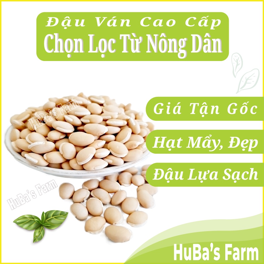 Đậu ván trắng sạch giống thuần chủng, đậu ván trắng quê nhà, đậu ván đẹp không chất bảo quản