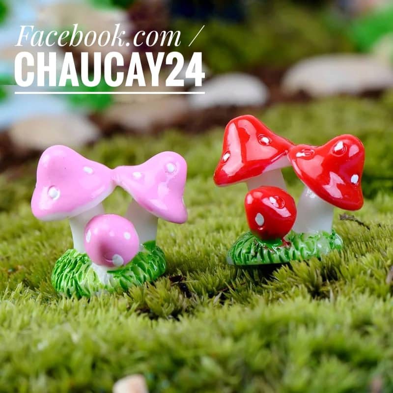 Tiểu cảnh - Nấm chùm phụ kiện trang trí sen đá, xương rồng, terrarium, charm slime