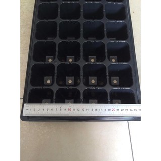 5 Vỉ Ươm Hạt Giống 200 Lỗ [Khay Ươm Hạt Giống)