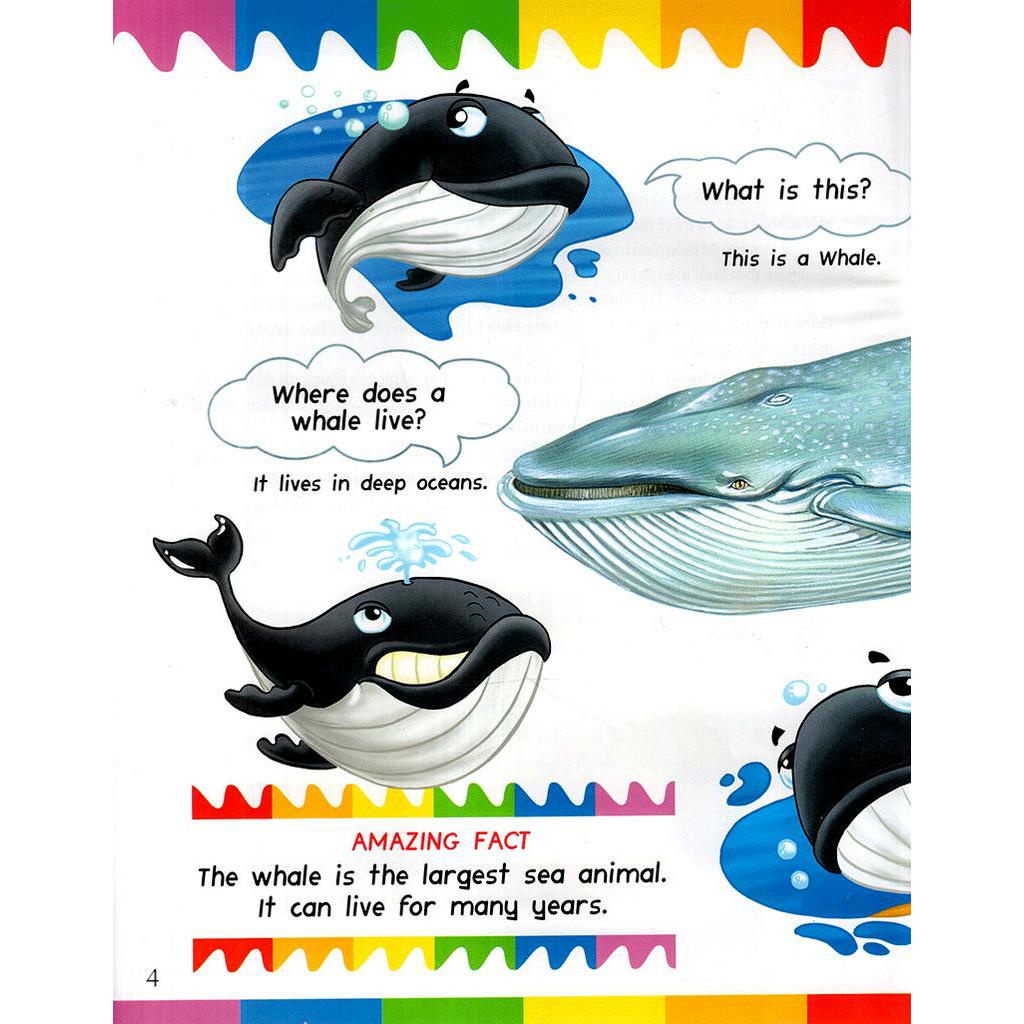 Sách My First Questions &amp; Answers - Ocean