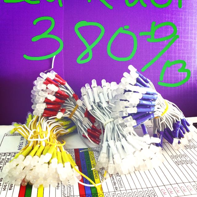 led ruồi