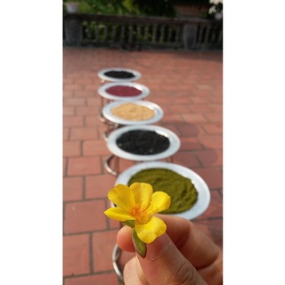 Ngũ cốc dinh dưỡng