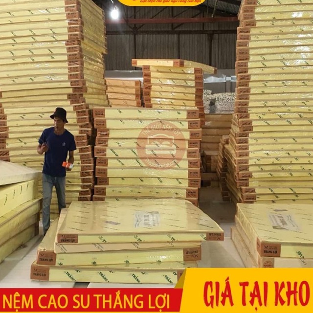 [ Mã HLNOITHAT giảm 10% tối đa Nệm cao su non AMERICA 10 cm