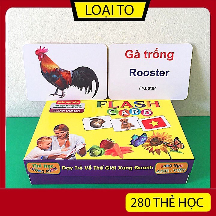 Bộ Thẻ Học Thông Minh 19 Chủ Đề Loại To Song ngữ tiếng Anh loại chuẩn Glenn Doman Flashcard cho bé từ 0-6 tuổi