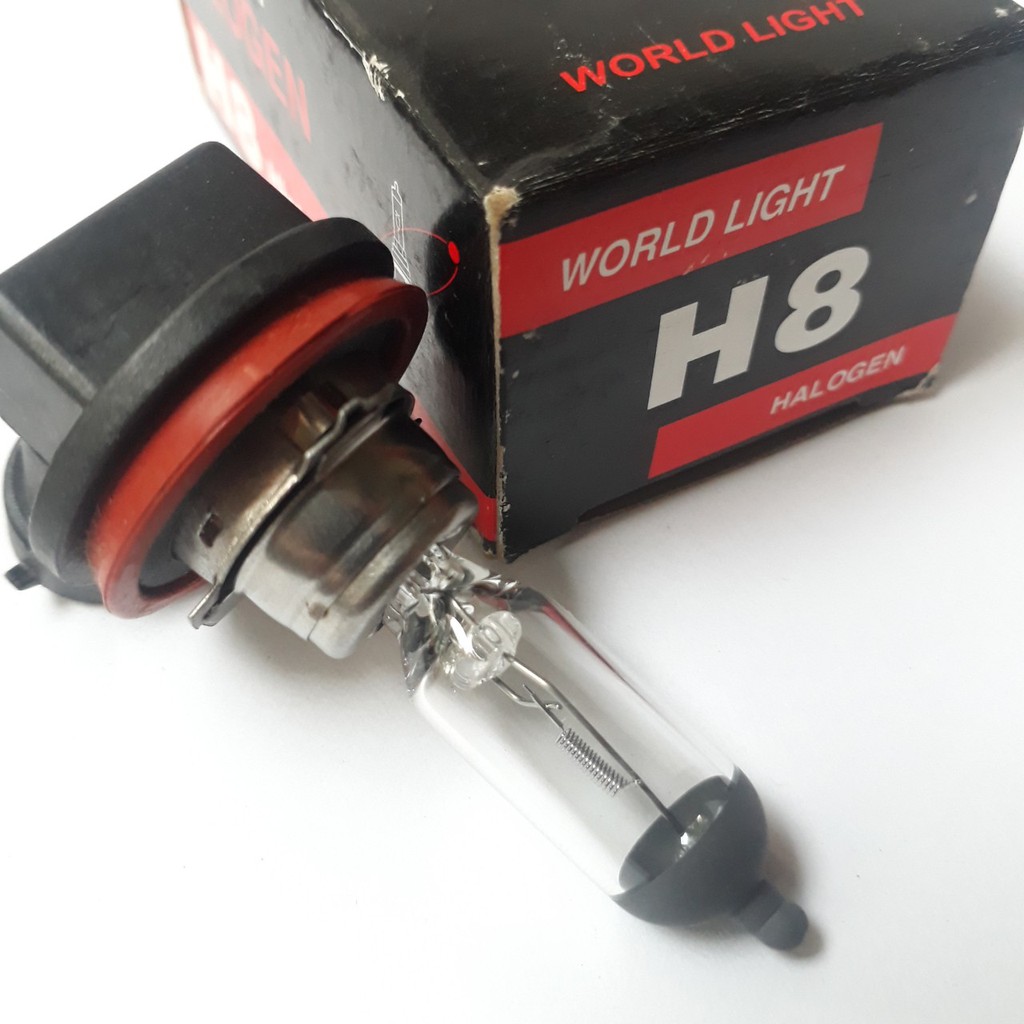 Bóng H8 12V 35W. Bóng đèn ô tô World Light. Chuyên các loại bóng đèn halogen giá sỉ