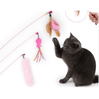 Cần câu trêu mèo dây thép 🐱