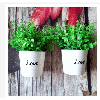 Chậu trắng cây cỏ xanh giả trang trí - cỏ tai chuột