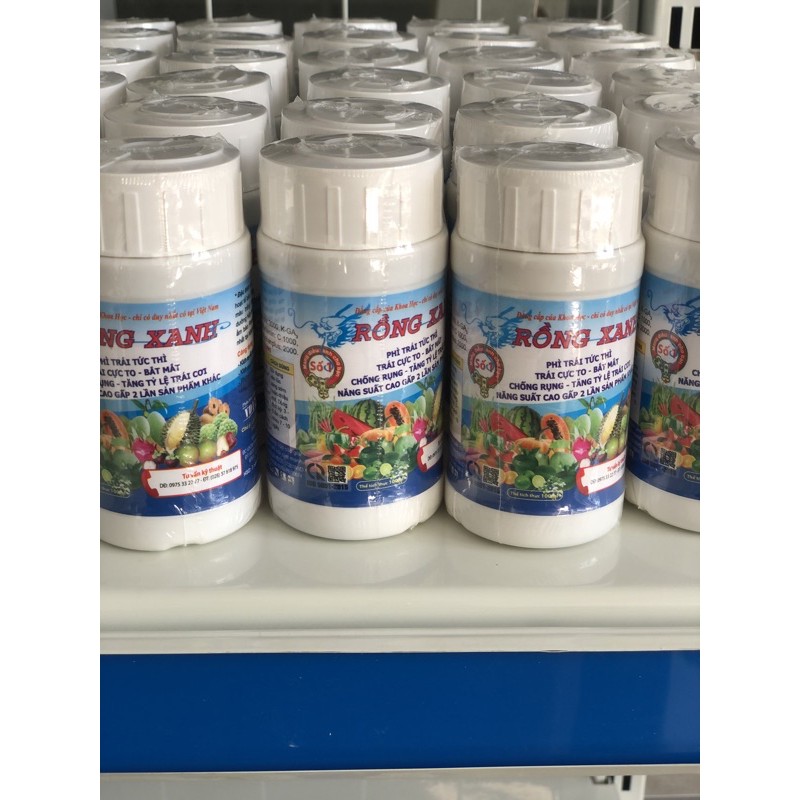 Rồng Xanh phì trái cực nhanh