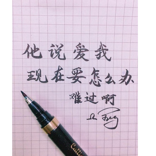 Bút lông thư pháp viết chữ hán, Bút viết tiếng trung chuyên dụng 4 cỡ - BL02