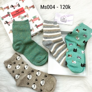 Set tất 4 đôi Caramella