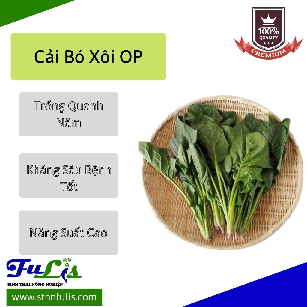 Hạt Giống Cải Bó Xôi OP - Cải Bó Xôi Chịu Lạnh  - Cây Rau Giàu Chất Dinh Dưỡng Phát Triển Nhanh - stnnfulis
