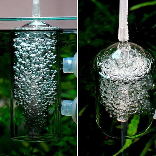 Chắn O2 thủy tinh cho hồ cá, hồ thủy sinh, hồ tôm