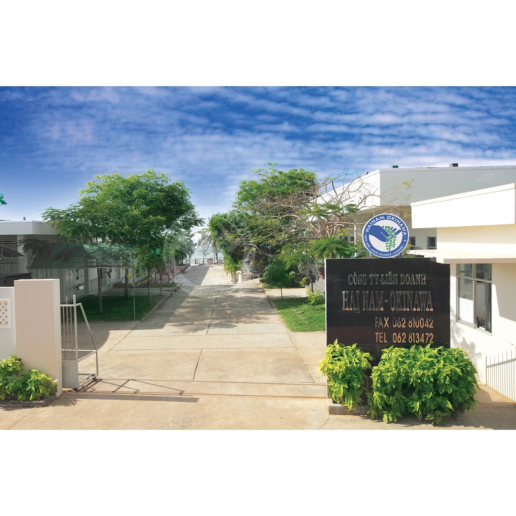 RONG NHO TÁCH NƯỚC HẢI NAM OKINAWA + XỐT MÈ RANG