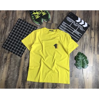 🌱Áo Thun Cao Cấp cotton 100% M241(KÈM ẢNH THẬT)🌱